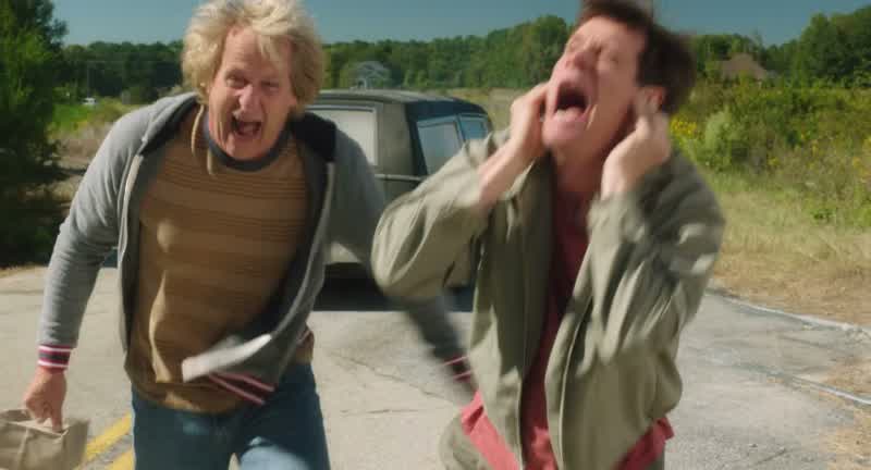 What the hell happened, Harry?