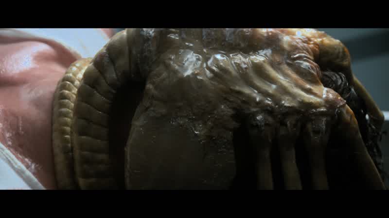 What the hell is that?