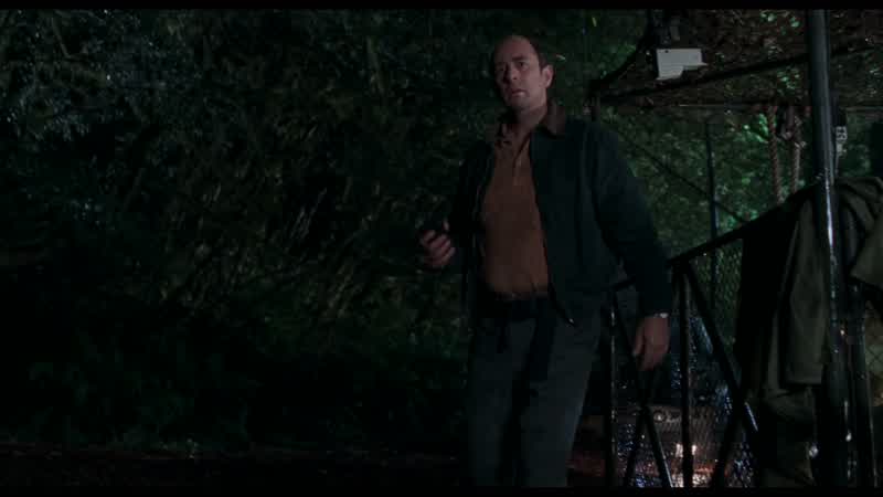 What the hell is that?