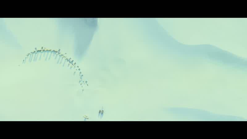 What the hell is that?