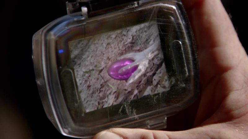 What the hell is that?
