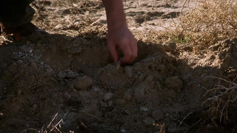 What the hell. You got any idea what you're doing?