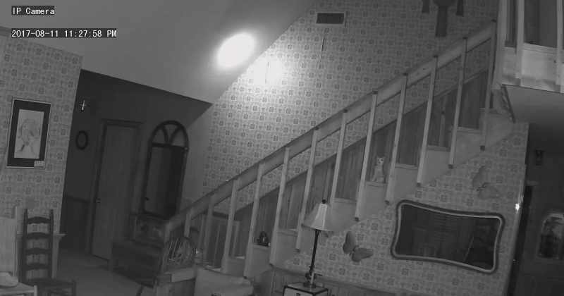 What the hell's going on in this house?