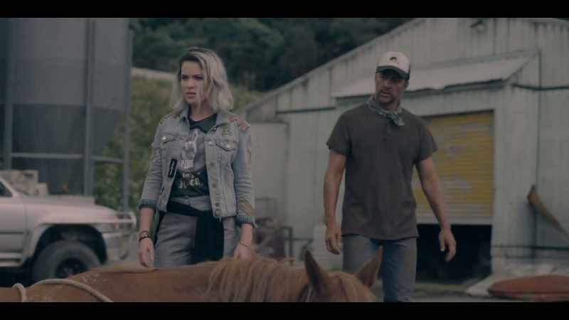 What? - The horse