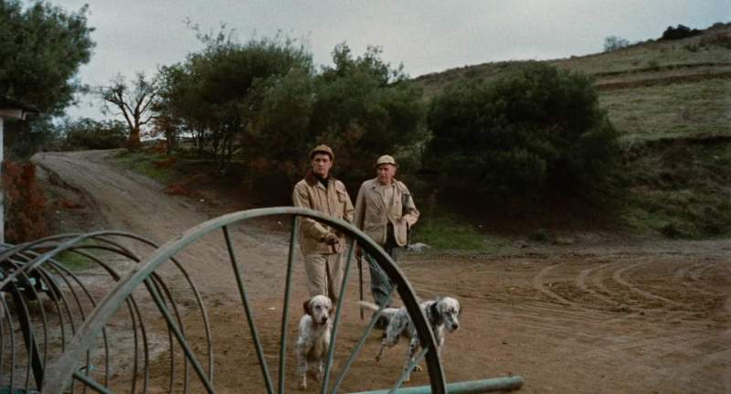 What was the matter with you today son
