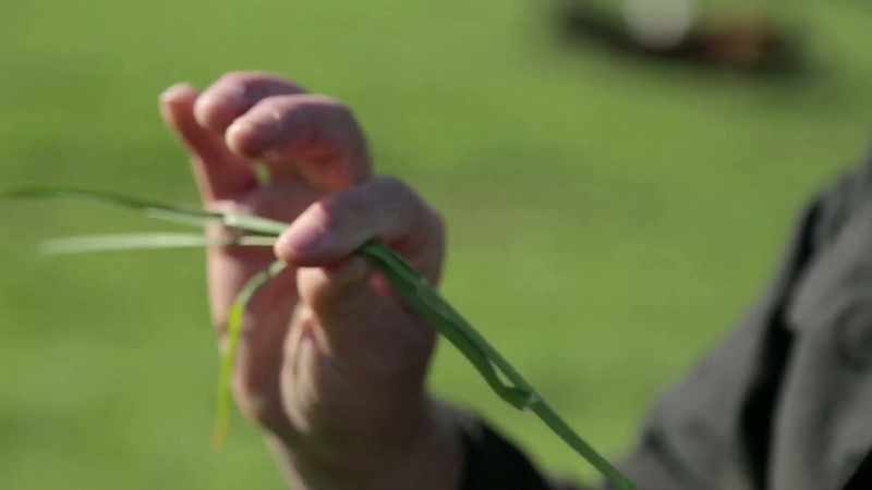 What we want to do is keep this forage