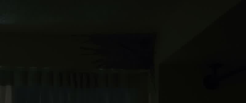 What was that?