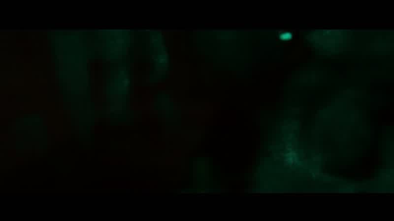 What was that thing?