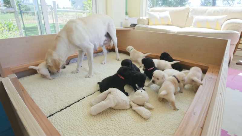 What we're learning is that the mothers