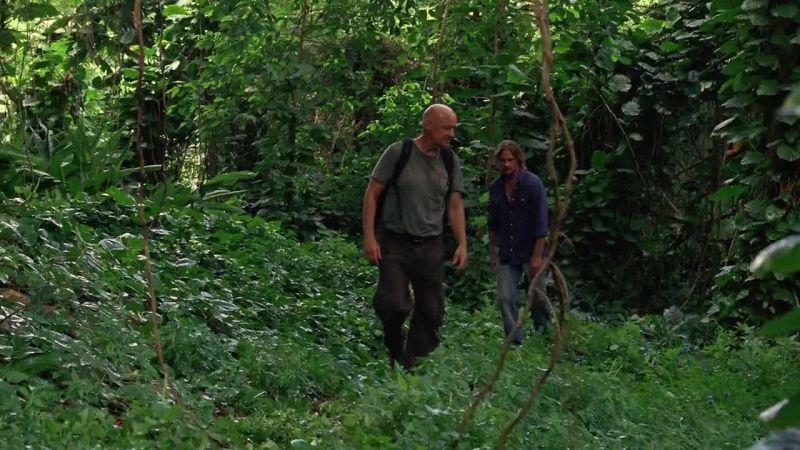 What were you doing alone in that house, James?