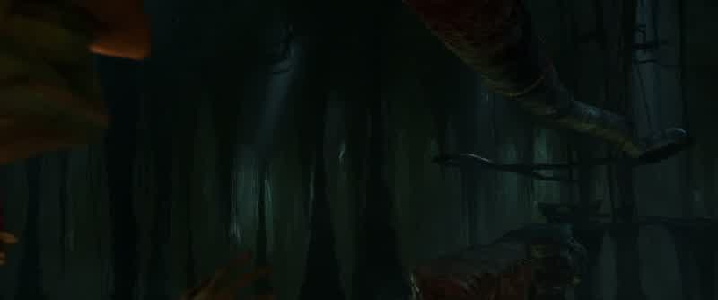 Whatever you do, do not look down