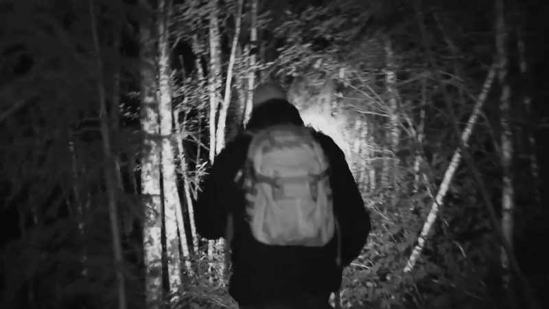 Whatever was following me last night