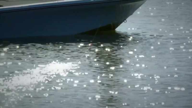 Whatever it is, the fish think it is