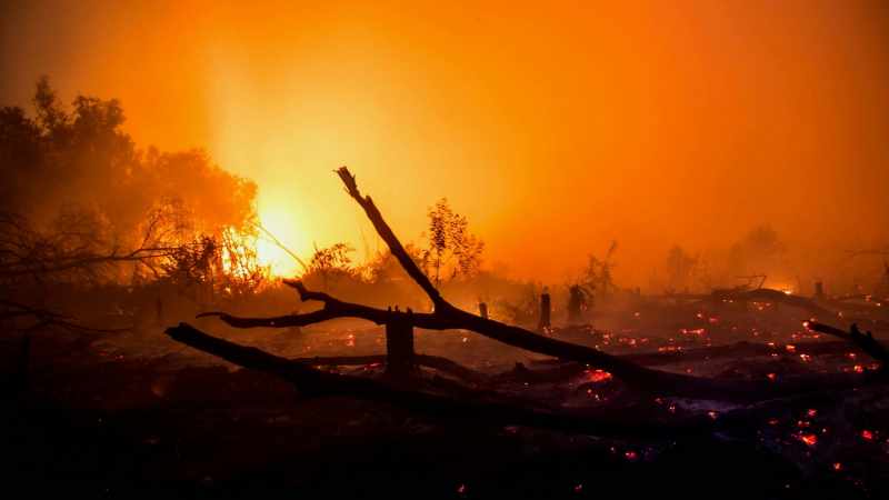 WHAT'S AT STAKE IS NOT ONLY THE LIVELIHOOD