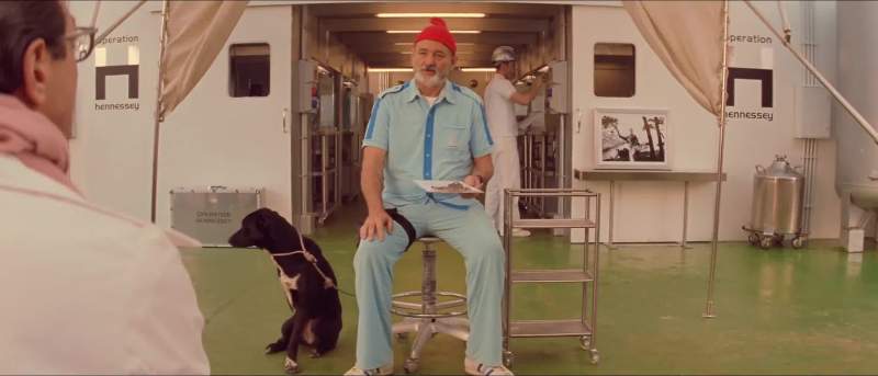 It's an estimate Uh what's your dog's nameCody WhiningBe still Cody