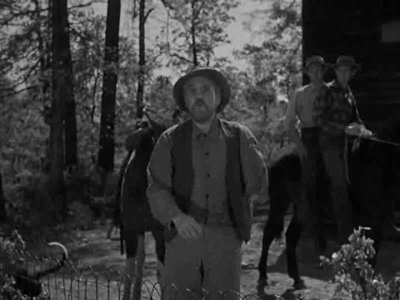 What's going on around here, sheriff?