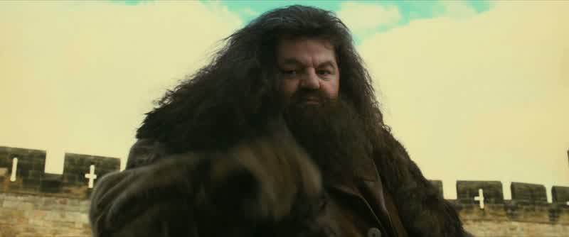 What's going on with Harry's broomstick?