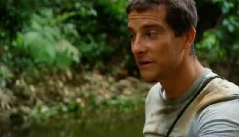 WHAT'S HAPPENED HERE IS THAT YOU'VE GOT THIS JUNGLE POOL