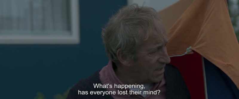 What's happening, has everyone lost their mind?