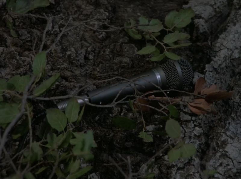 What's that noise?