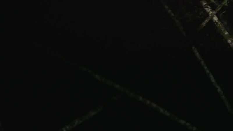 What's really interesting, is that the X