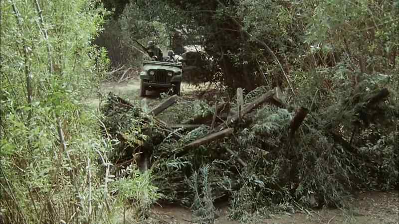 What's that? - Stay down, lieutenant