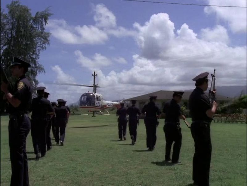 WHAT'S THE CHOPPER FOR?