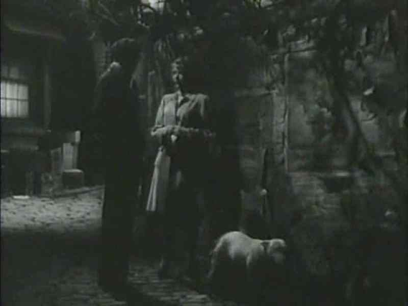 WHAT'S THE DOG DOING HERE?