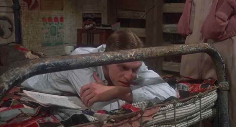 What's the matter, Bowie?
