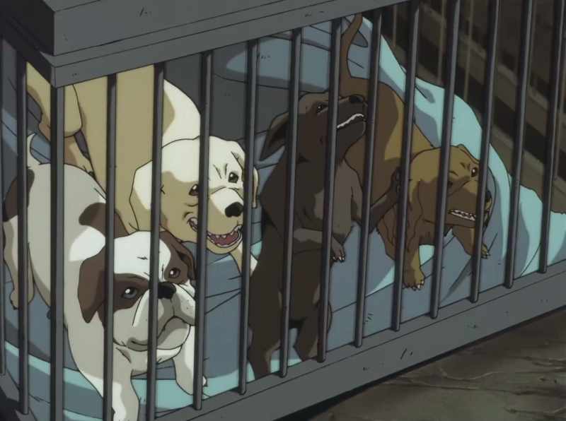 What's the matter? Something's upsetting my babies!