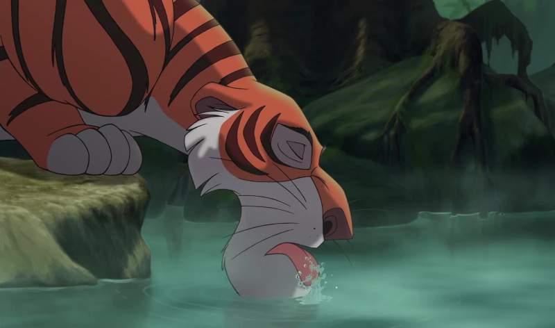 What's the matter Stripes