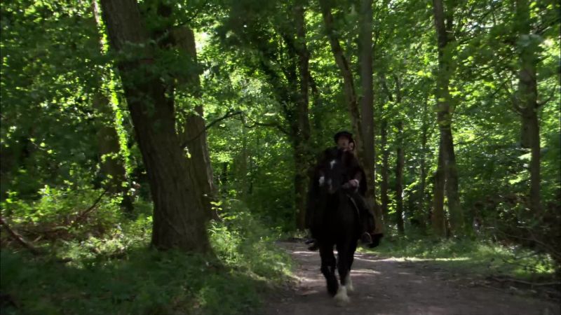 What's this? - Dismount your horse