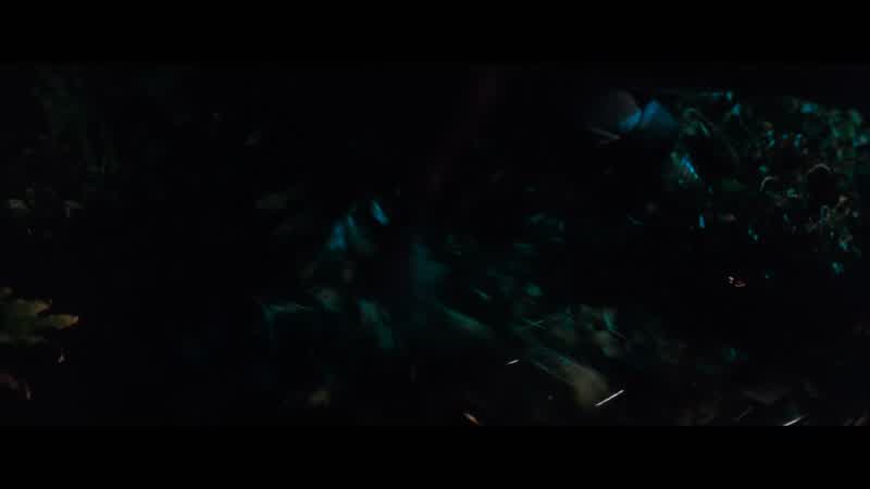 What's this?
