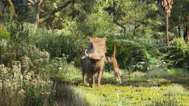 What's up with that guyUm SimbaHow can I say thisHe's prey YeahAnd he is never gonna want to frolic with a carnivoreNo You two will never frolicWhy notYou see in nature there's a delicate balanceOh