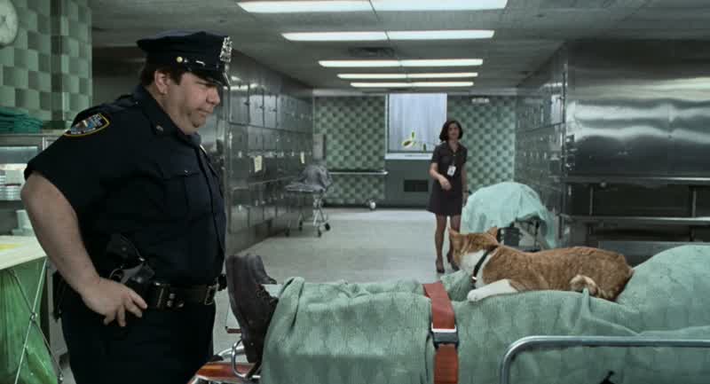 What's with the cat Oh the catYeah well there's a problem with the cat Sign hereWhat's the problem with the cat It's your problem Heh hehI hate the living