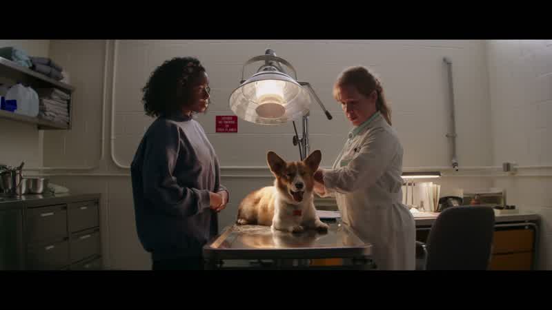 What's with these white coat peoplesticking me with sharp things