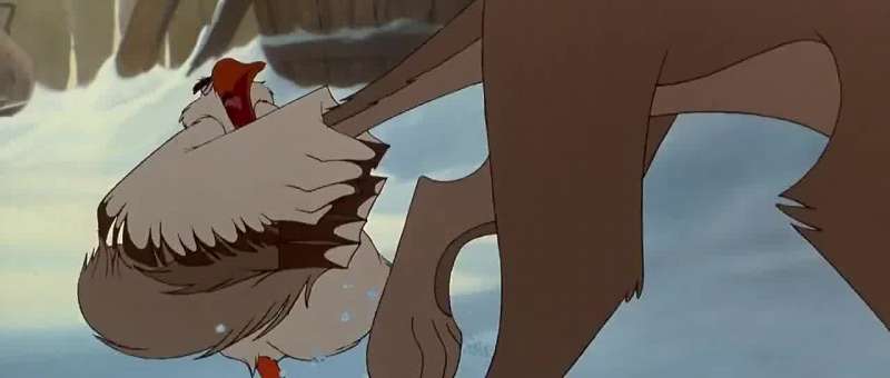 What's wolf for Go chase your tail