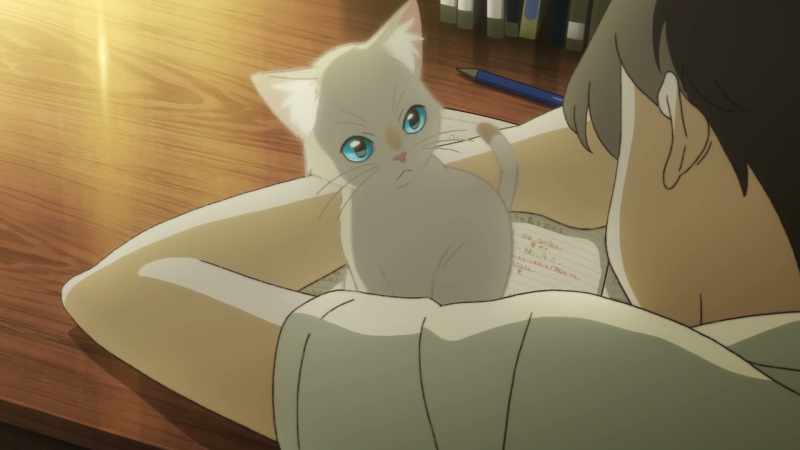 What's wrong, Hinode?