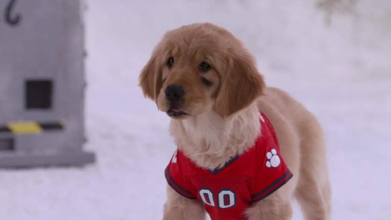 What's wrong with the ground It's cold
