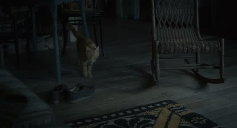 What's your name again?