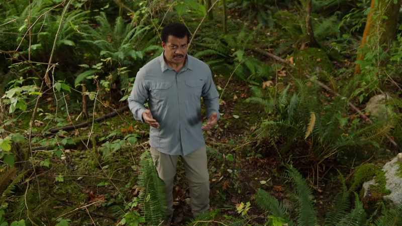 When a predator strikes, the first thing a tree does