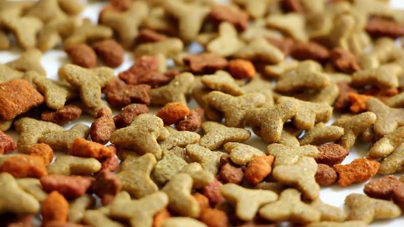 When your animal eats dry food