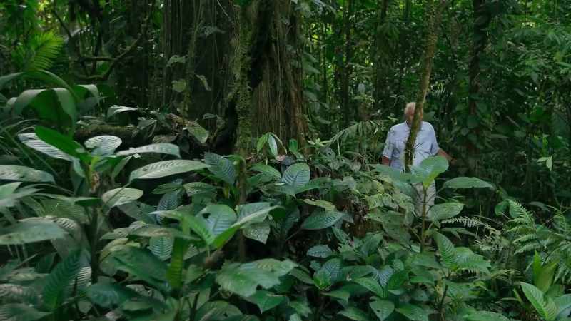 When Charles Darwin was exploring the tropical world