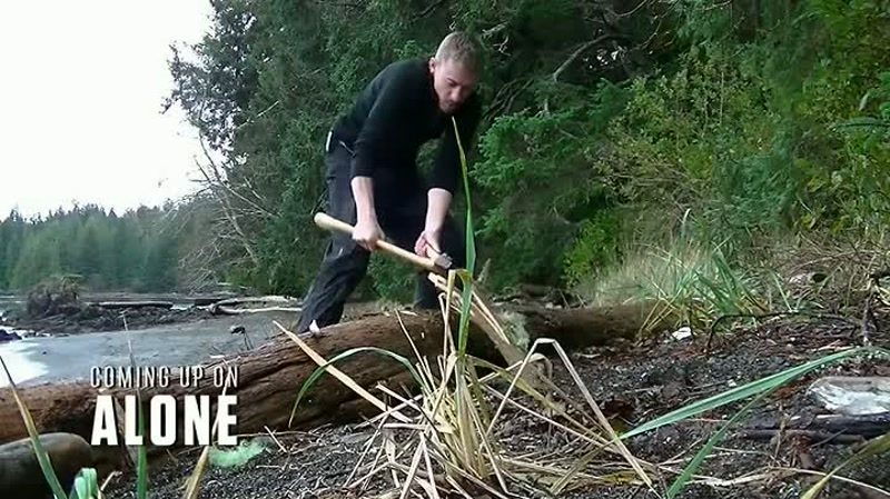 When it comes to wildlife