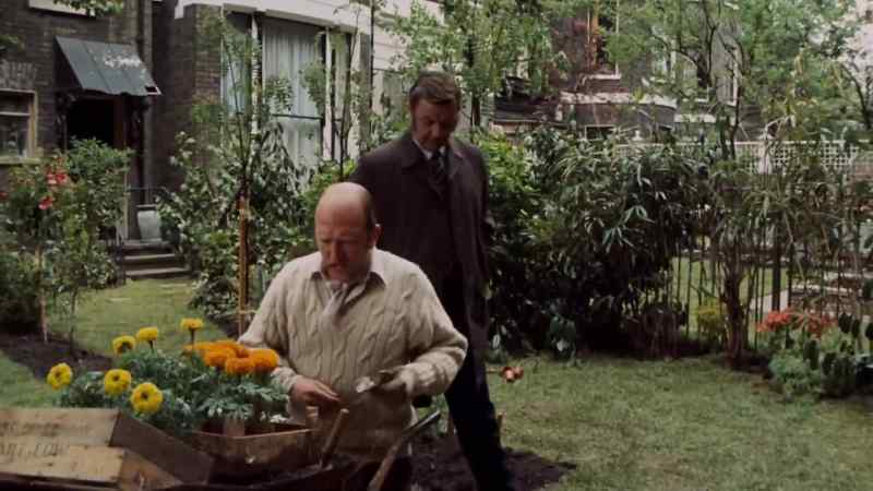 When did you plant these trees Mr Appleby