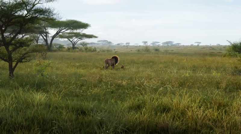 When we die, our bodies become the grass
