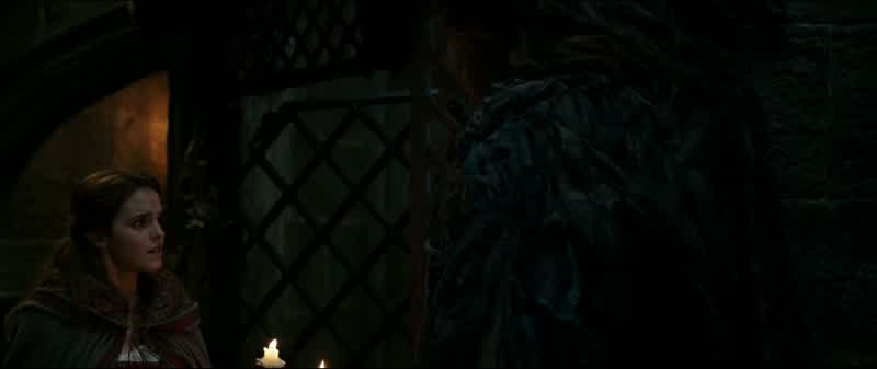 When this door closes, it will not open again