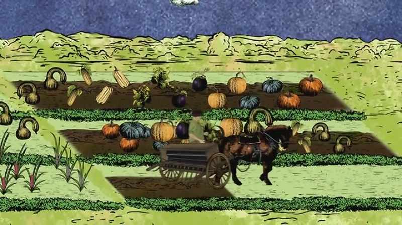 When farmers embraced the seed drill