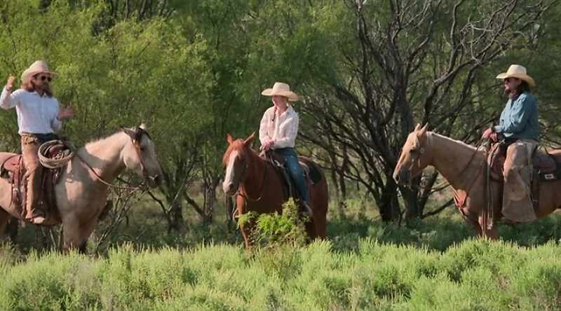 When we gather these cows, we wanna sweep this little pasture
