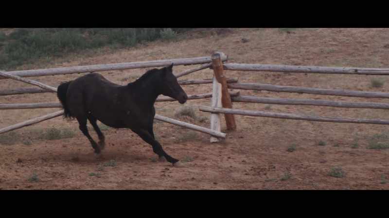 When you get a new horse and you don't know